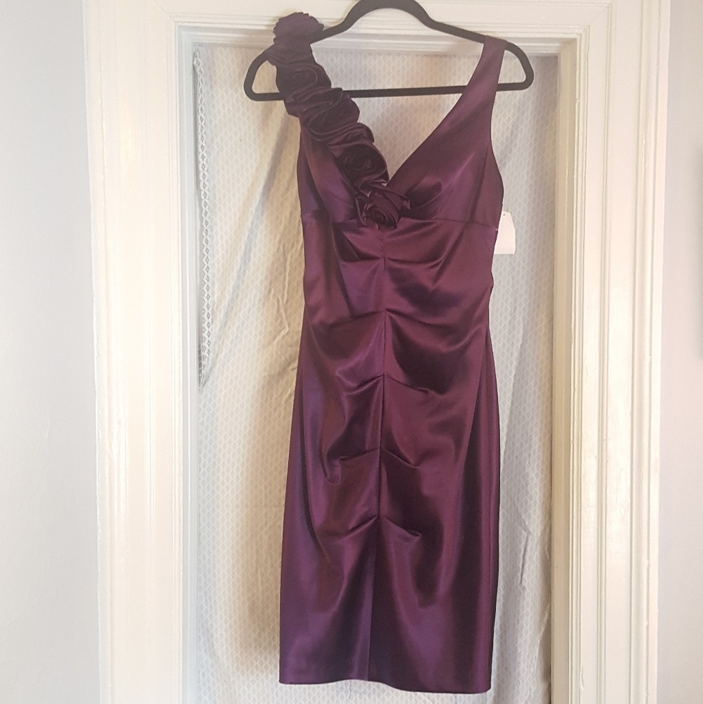 NWT Purple Formal/Semi-Formal Dress